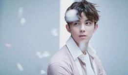 吴磊现状爆料视频大全集,视频大全集深度解析